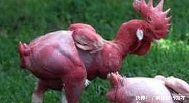 蒙骗亿万国人的十条谣言,你不看,现在还蒙在鼓里!