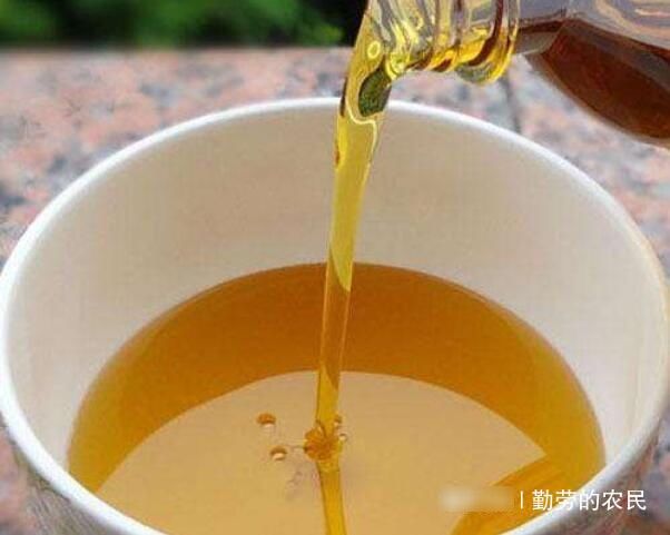  市场上：70年代人们大量种植，如今70元一斤很难买到，农民却不愿种，为何