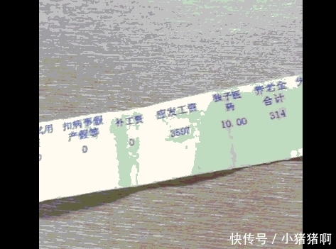 某国企员工晒出工资条, 觉得穷死了, 网友: 你确定这是最终收入?