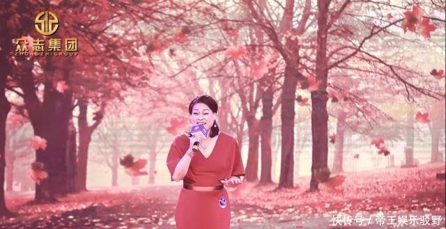 2019央视晚收视率