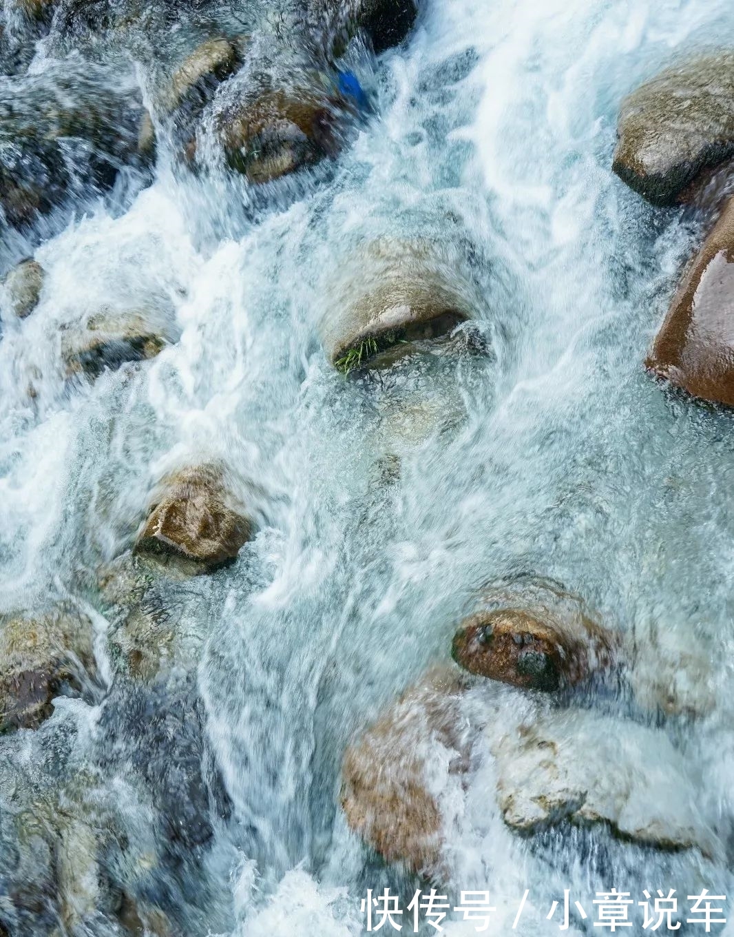 峨眉山，被低估了的四川避暑王者！