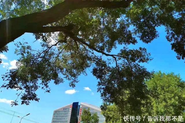 陌上弹指芳菲暮，朱颜辞镜花辞树往来皆过客，何曾有归人