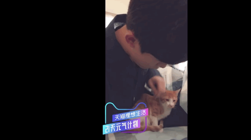 易烊千玺火到国外，带猫咪拍广告，一身潮装让韩国机场都瘫痪了!