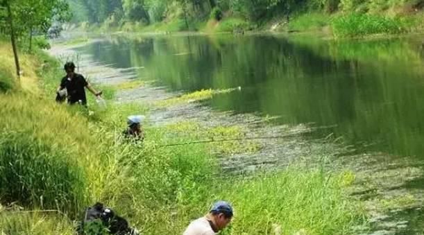  #投放窝料#为什么,给你机会都无法爆护!野外连竿的时候要注意这8点细节