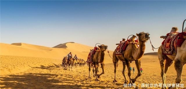 中国最大的镇,相当于8个上海,25个深圳,著名的楼兰古城就在这