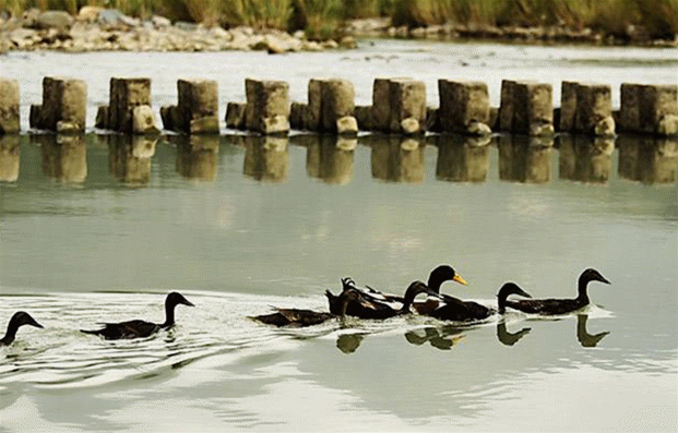 距温州2h的处女小县城,集全了浙江所有令人意外的美景,鲜为人知