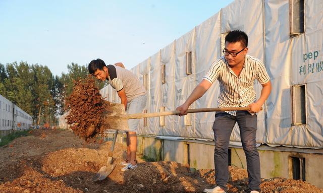 预计在五年后，农村里这3类人先富起来，挣的钱比村干部都多