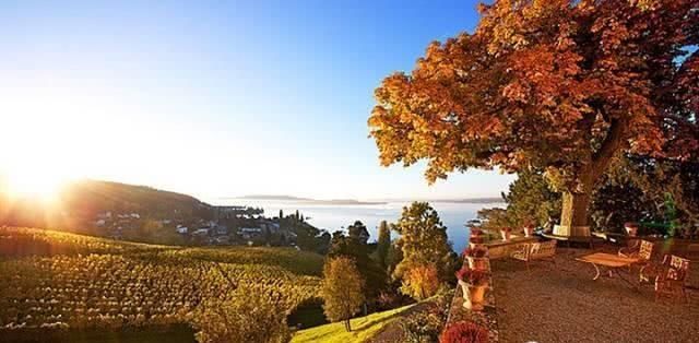  「瑞士人」瑞士人找到了和睦相处的秘诀