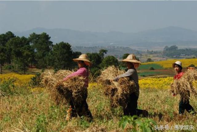袁立为农民发声，骂马云怼2冰冰拒不受访，网友:实力杠精