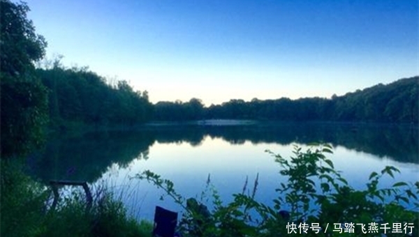  『要注意』夏季手竿钓鲤鱼的四大秘诀，别不信，一钓一个准，渔获翻倍有保证