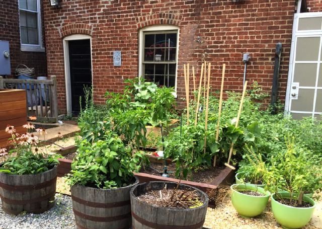  【美滋滋】不羡慕城里大露台，老家盖个房，还带个大院子，生活