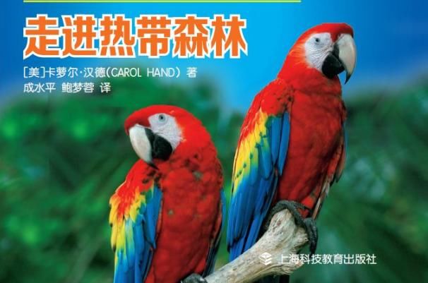 苔原:海龟马拉松也能直播?还有外国网友在线捐赠支持心仪选手