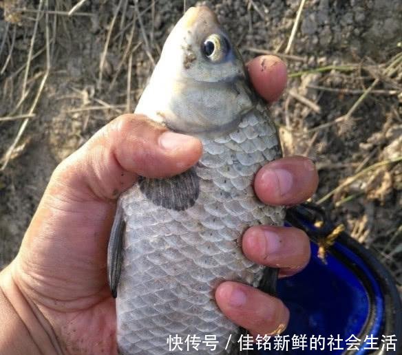  「春天」春天什么天气鱼口最好老钓友建议，选什么天气都别选大晴天