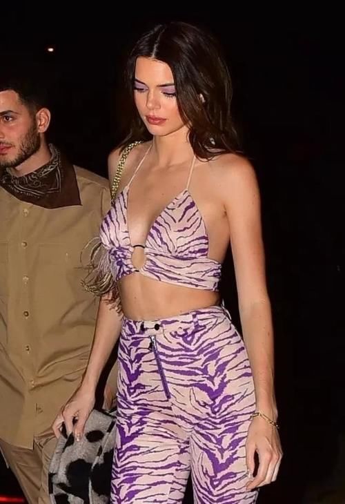 浅紫色：浅紫色豹纹套装秀身材，性感妩媚，肯达尔?詹娜化身狂野女孩