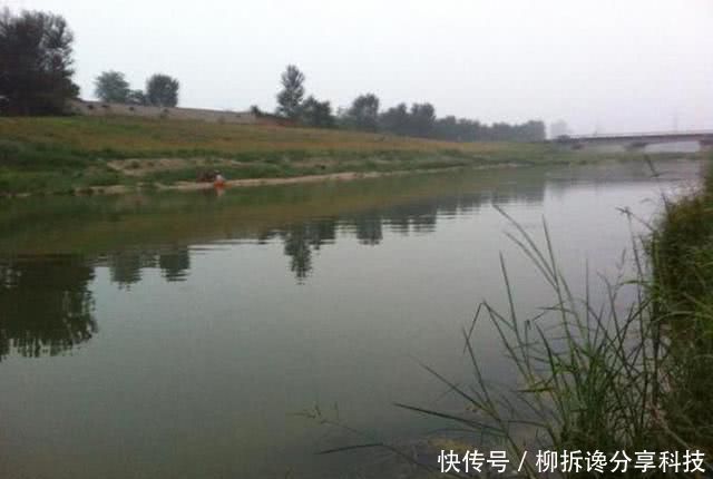 『蚯蚓』不要嫌太贵，钓鱼不是只能用蚯蚓，虾饵也能钓获黄颡和甲鱼