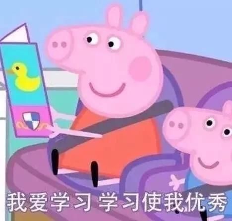 持初级会计师证的90后,职场生存状态