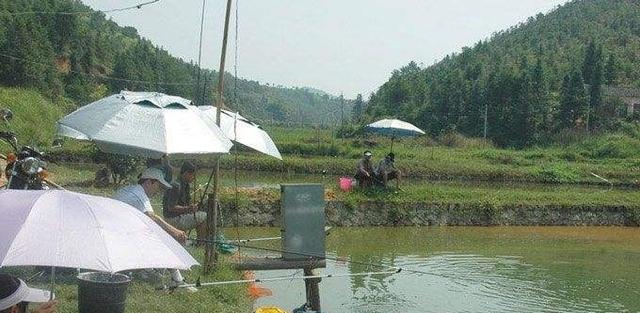 适合农村创业的4大项目，投资低回报高，适合不去打工的年轻人！