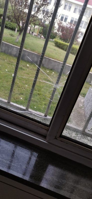  葡萄|葡萄大棚被冰雹打成筛子......一场冰雹 莱西多个乡镇农作物受损