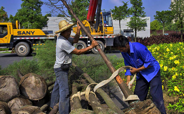 [转型]在农村，想发家不能靠种地，这3行是赚钱“捷径”，想转型