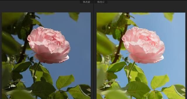  [大圣不空]这样调色，太温柔治愈了！