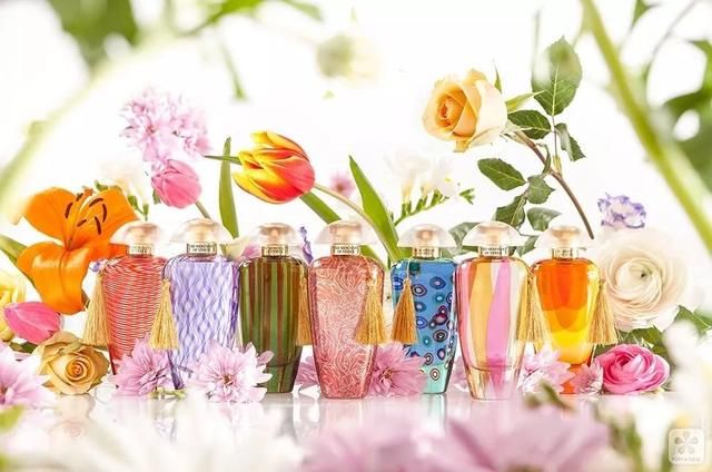 香氛｜戚薇冰箱藏香告诉我们：比起使用率，有些香水就是用来看的
