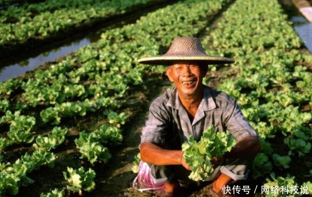 这两个证件没办的抓紧办了，明年可能不能办了，别让子女“吃亏”