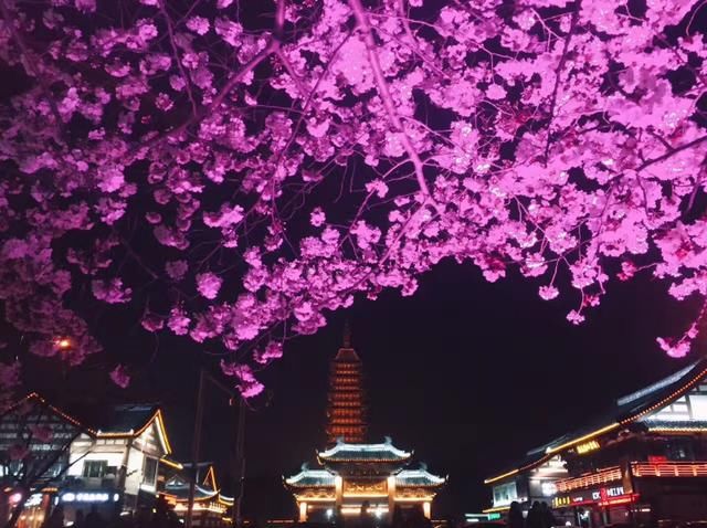 美过婺源!国内最适合全家游自驾赏花地,不收门票,美的鲜为人知