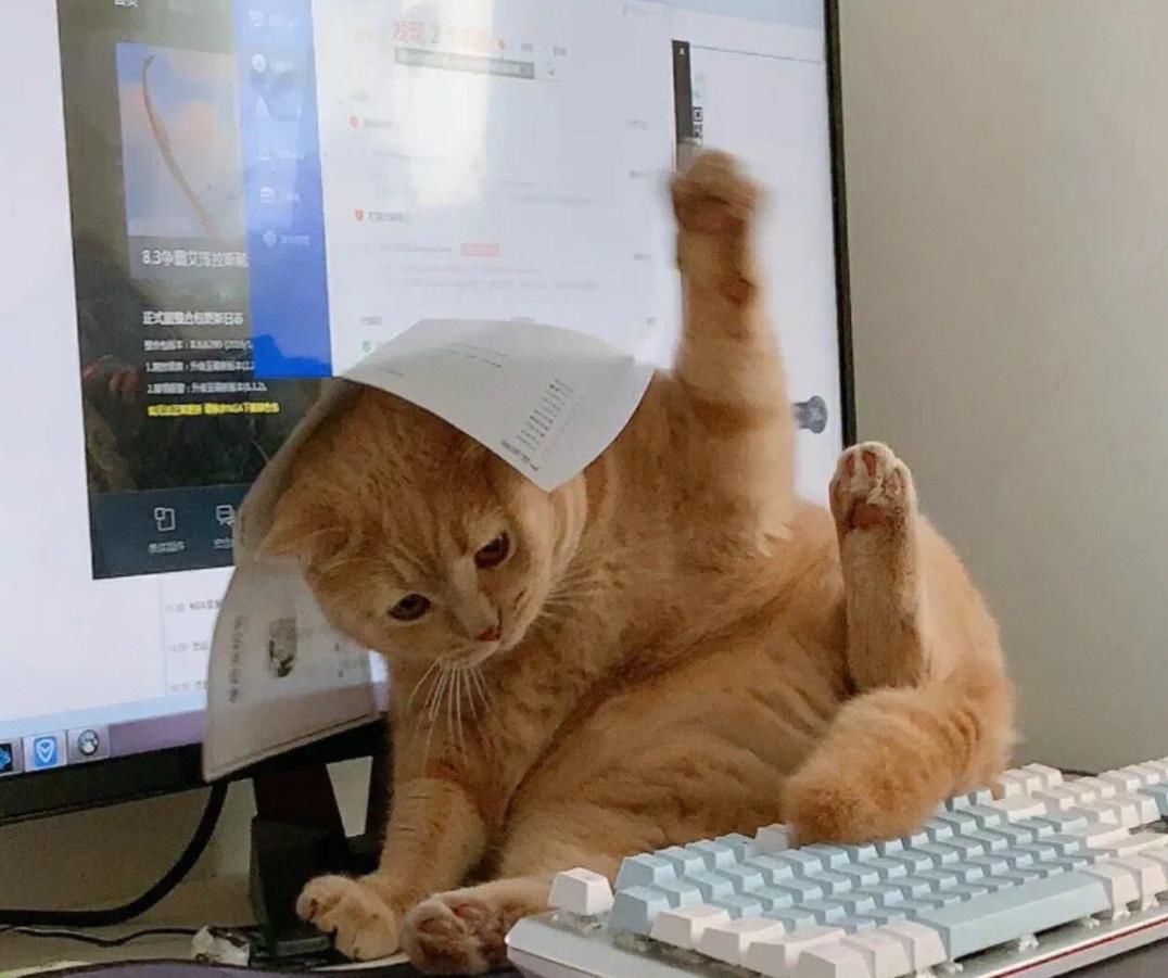  [家暴]《快乐星球》小演员都咋样了？有人结婚晒娃，有人竟敢劈腿家暴？