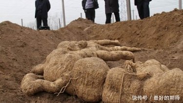 河南一老农荒地里掏出大怪物，妻子看到后当场吓回家