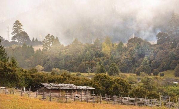 西藏用他的……彻底征服了全世界!