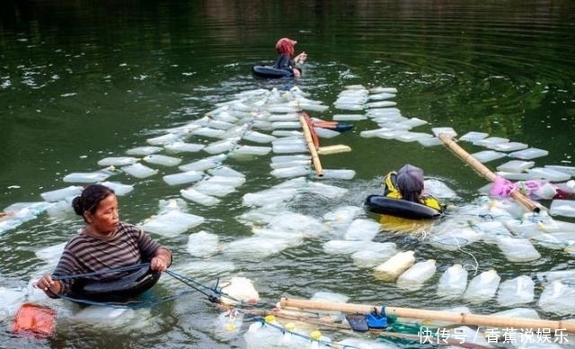 印尼缺水地区“取水女”，背上百个水罐逆流而上，只为一口干净水
