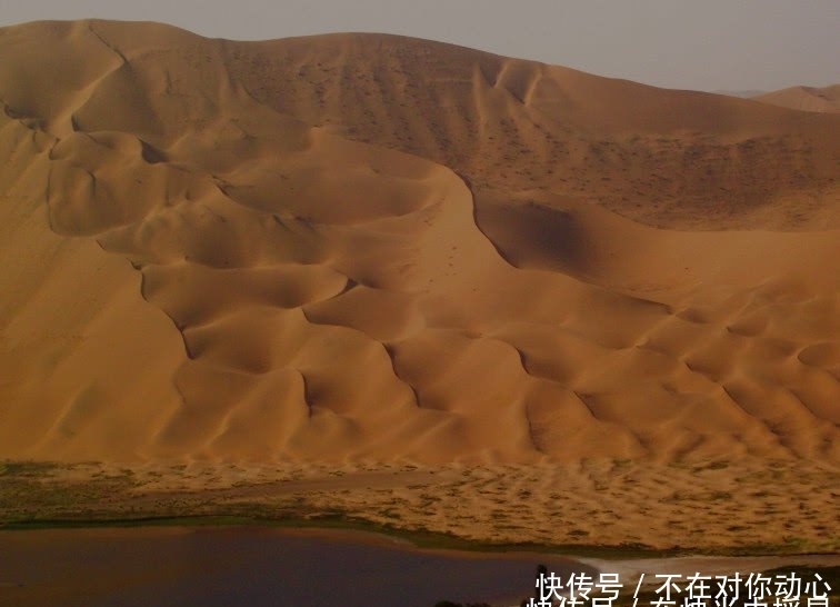 沙漠下面都是石油！为何中国却不愿意开采？看完佩服中国智慧！