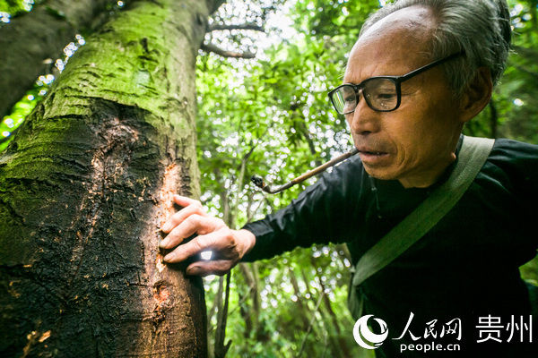  『精准』贵州大方：聚焦“三无”设专岗 精准“兜底”稳脱贫