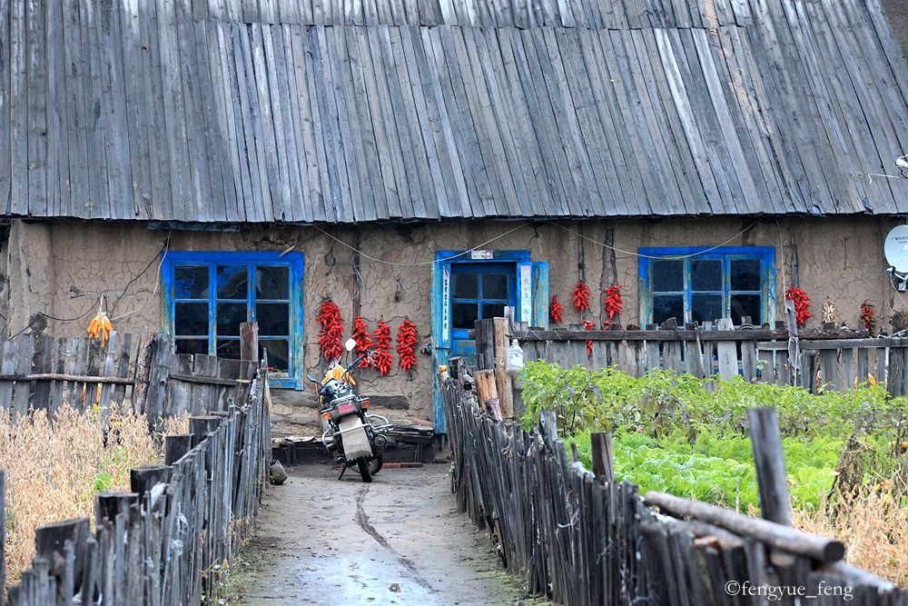 大兴安岭特大火灾澳洲火灾