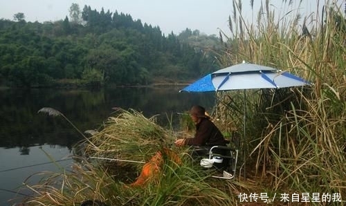「天气」这里的鱼不仅多, 而且傻, 钓鱼拉得手抽筋