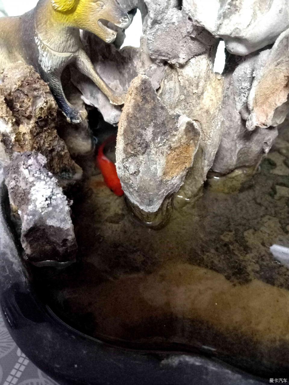 小山水盆景里的大千世界