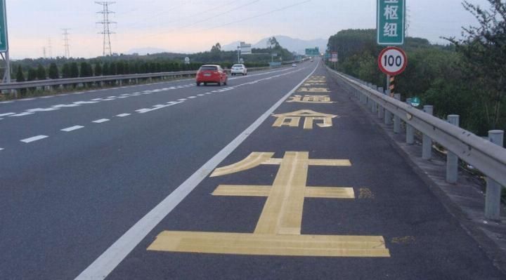 高速换车胎, 停在应急车道上还丢了六分? 车主: 你还要我怎样