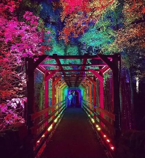 欧洲的秋天，真的不是童话！