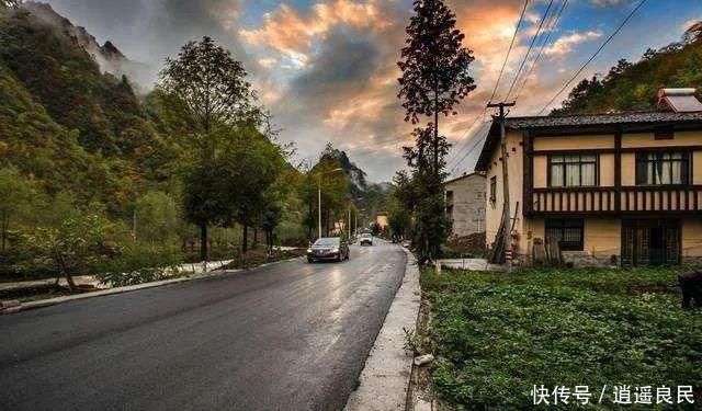 农业的悲哀:有太多的“专家”不考虑农民致富,却对农民指手画脚