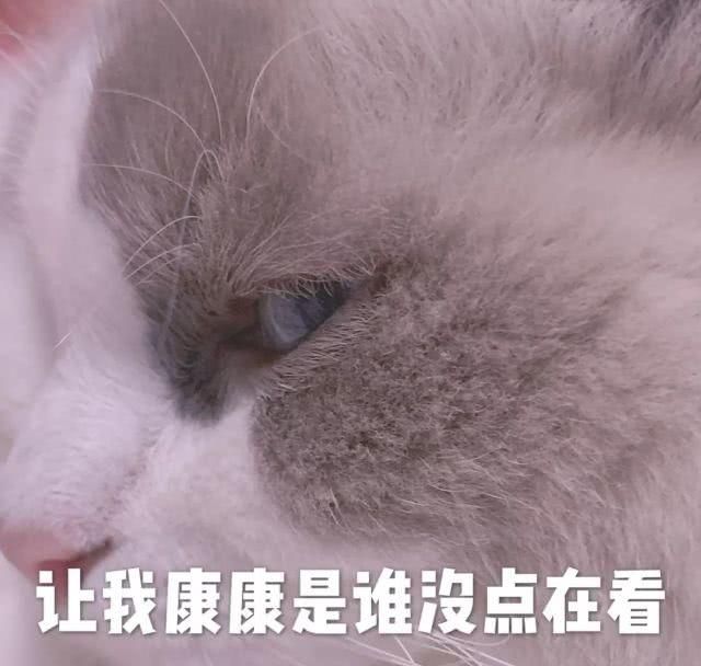『我家』初春第一件薄外套+裙子必须买它!要链接的人都追我家去了!