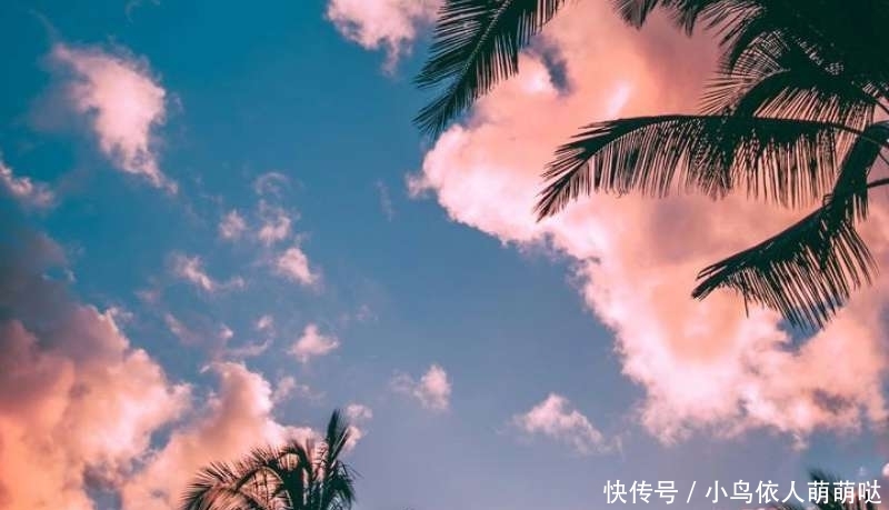 『巨蟹座总』最深情的三大星座