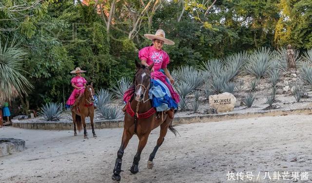  『乐园』在幽蓝的加勒比海边游神秘乐园（被疫情撞了腰的墨西哥行程05）