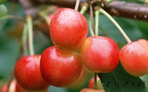 夏季在室外如何防晒