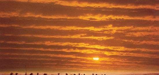 广东未来一片光明的城市，不是东莞，也不是珠海，正在悄悄崛起