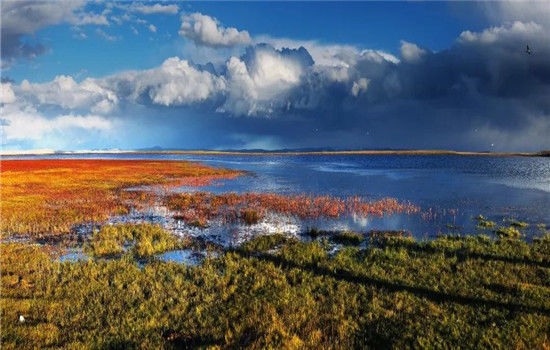 官宣！外交部将向全球推介青海！