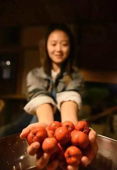 『小院』20多岁的年龄差距,却把一个破烂的农家小院变成了“桃花源”