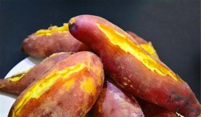 难道八月份真的适合种植红薯吗？这里告诉你答案！