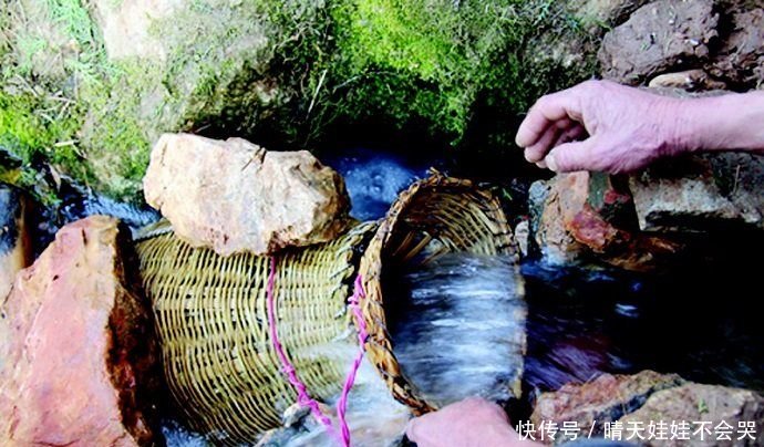 一个不起眼的小山洞，每年随水流出数千斤不知名的鱼
