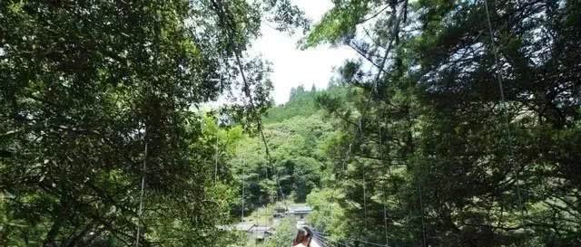 带着养了8年的柯基，她和狗狗一起做了世界上最浪漫的挑战……