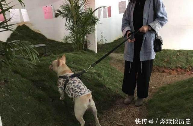  男人@3个男人把出租屋改造成公园, 物业很抓狂, 房东却高兴坏了